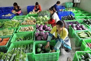 沈陽社區便民新舉措 明年底前實現“菜籃子”零售點全覆蓋