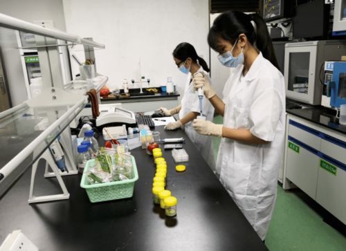 蓬江區多措并舉 筑牢食用農產品質量安全防線